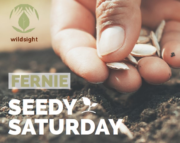 23-02-25 Event-Seedy Saturday-Fernie Family Garden.